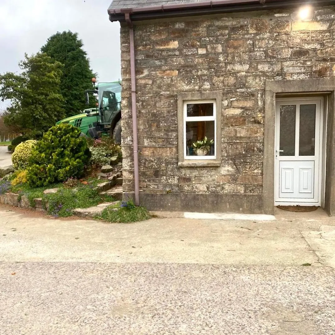 The Cosy Cottage Cork 0*,