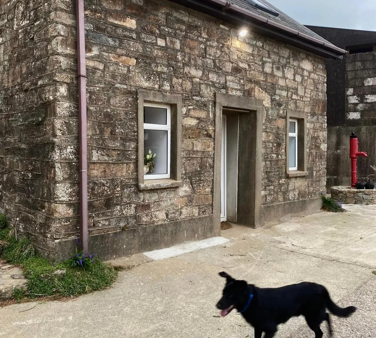 Ferienhaus The Cosy Cottage Cork